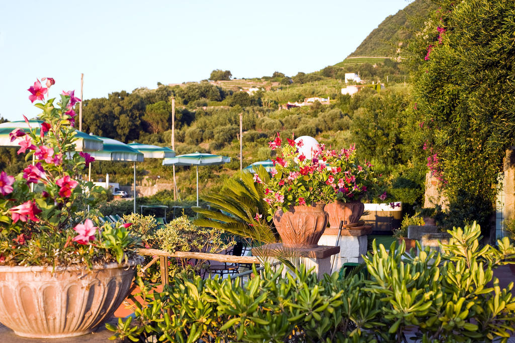 Hotel Poggio Del Sole Forio  Restaurant photo